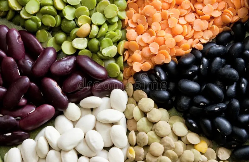 Dry mixed kidney beans and sorting pulses