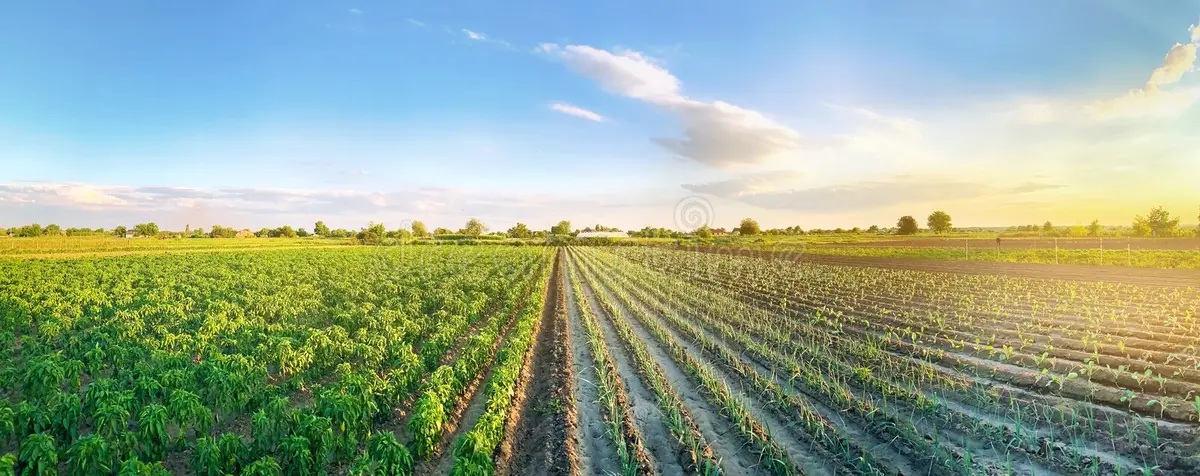 Professional agricultural equipment processing team